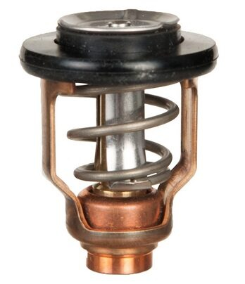 Yamaha - Termostat pro F80A/F80B/F100A...