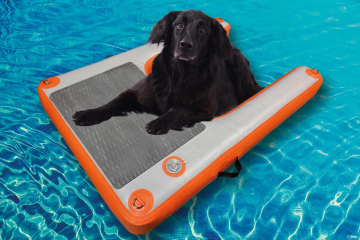 DOG RAMP Koupací žebřík pro psy MINI s nosností 13 kg
