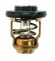 Yamaha - Termostat před F2.5A