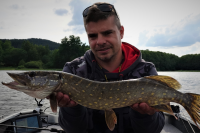 MARINE 450 BASS hliníkový člun - 4,45m, 234kg