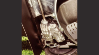 HONDA KOMFORT HRD 536K QX - benzínová sekačka 53cm, hliníkové šasi, profi motor GXV160, spojka nože, pojezd válcem