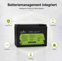Offgridtec LiFePO4 baterie 25,6 V 50 Ah – 1280 Wh, integrovaný BMS