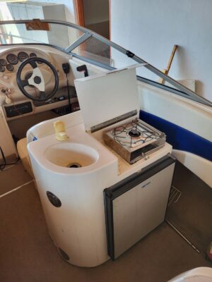 Wellcraft Excel 21 SL motorový člun + přívěs dvounápravový - Obrázek 3