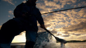 YAMAHA M12 elektromotor 30 lbs - 5 rychlosti vpřed, 3 rychlosti vzad - Obrázek 3