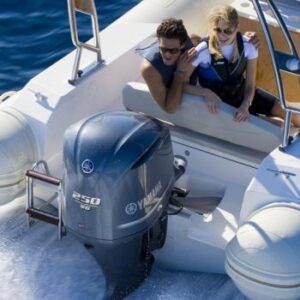 YAMAHA FL250 ES (SBW) závěsný lodní motor - délka hřídele 35" / 88,9 cm (opačná rotace vrtule) - Obrázek 6