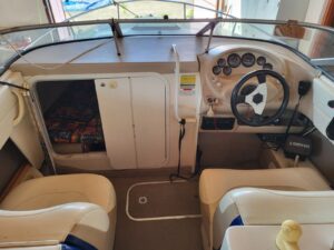 Wellcraft Excel 21 SL motorový člun + přívěs dvounápravový - Obrázek 7