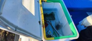 Motorový člun ANGELO MOLINARI 410 s motorem YAMAHA F25 + přívěs - Obrázek 11