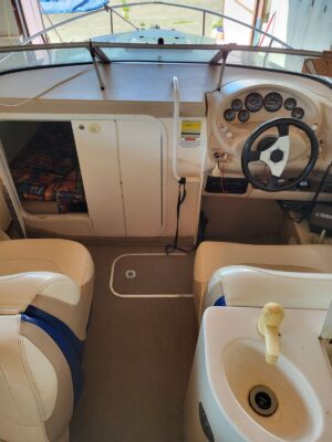 Wellcraft Excel 21 SL motorový člun + přívěs dvounápravový - Obrázek 9