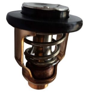 Yamaha - Termostat pro F100D - Obrázek 1