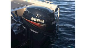 YAMAHA F9.9 HES SPORT BLACK závěsný lodní motor o obsahu 362 ccm3 - Obrázek 2