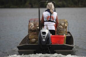 Tohatsu MFS 40A ETL závěsný lodní motor - Obrázek 5