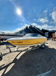 Motorový člun Monterey 180 FS (2005) s přívěsem