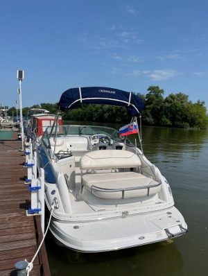 CROWNLINE 250 CR (2009) – Kajutová loď s bohatou výbavou a dieselovým motorem YANMAR 6LPA315 - Obrázek 5
