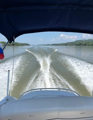 CROWNLINE 250 CR (2009) – Kajutová loď s bohatou výbavou a dieselovým motorem YANMAR 6LPA315 - Obrázek 13